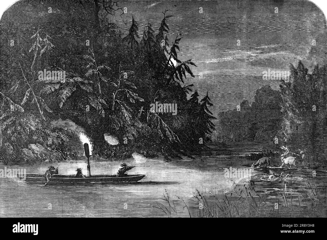 Water-Hunting for Deer: Eine Nachtszene auf dem Fluss Susquehanna, Pennsylvania, 1857. Ein weiteres Beispiel des Revolverprinzips, das auf das Gewehr angewendet wird, ist die sogenannte "Wasserjagd" in dem Teil Nordamerikas, in dem sich Mr. Catlin (der gefeierte amerikanische Entdecker und Sportler) als "erzogen" beschreibt. In den warmen Sommernächten kommen die Hirsche in die Flüsse, um zu baden und die Wasserpflanzen zu füttern. Das Problem mit dem gewöhnlichen Gewehr war, dass nur ein Schuss möglich war, da sie aufgrund ihrer Schnelligkeit und Schüchternheit in einem Moment außer Sichtweite sind. M Stockfoto