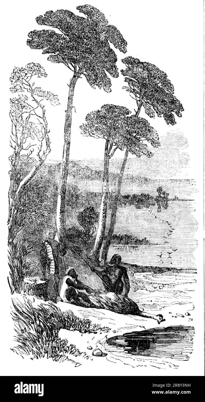 Skizzen in Südaustralien - The Dead EMU, 1857. "Die Übernahme der WWU ist ein Lieblingssport der Aborigines: Die wwu wird in sehr großen, zwanzig Meter langen und 1,80 Meter hohen Netzen gefangen, die hier aus den Wurzeln des Sumpfes bestehen, gebacken und zerkaut und dann gesponnen werden. Mehrere Eingeborene beobachten den Emus, während sie in den Lagunen trinken, nachdem sie die Vögel pfeifen gehört haben, und setzen ihre Netze bereit; dann treiben sie den Emus in Richtung der Netze, wo andere Einheimische im Hinterhalt liegen; Die Vögel werden verängstigt und verfangen sich, die Eingeborenen stürzen sich auf sie und wenn sie im Netzgriff des sind Stockfoto