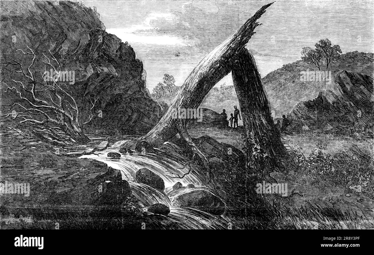 Sketche in Südaustralien - River Fall in the Interior, 1857. Blick auf „...ein Exemplar der romantischen Flusslandschaft im Inneren Australiens; der Katarakt und die Bergvegetation bilden eine sehr malerische Illustration“. Aus "Illustrierte London News", 1857. Stockfoto