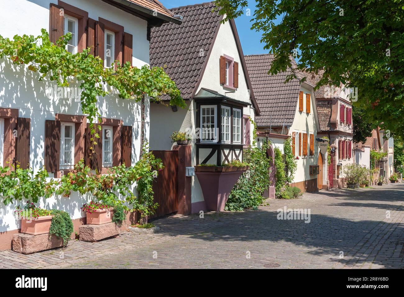 Typische Häuser in der historischen Theresienstraße, Rhodt unter Rietburg, Pfalz, Rheinland-Pfalz, Deutschland, Europa Stockfoto