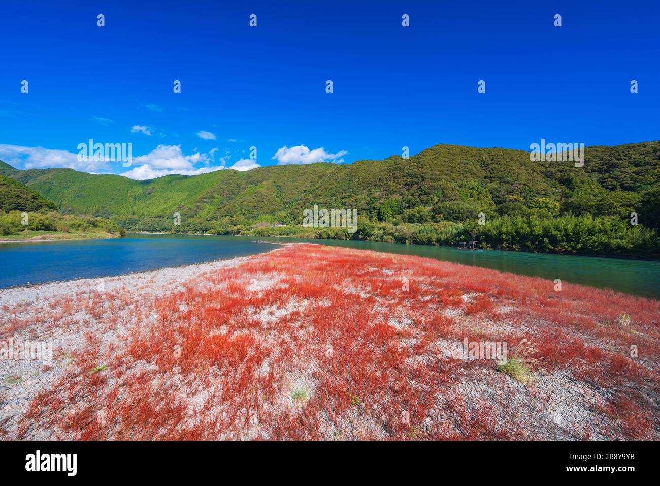 Shimanto River im Herbst Stockfoto