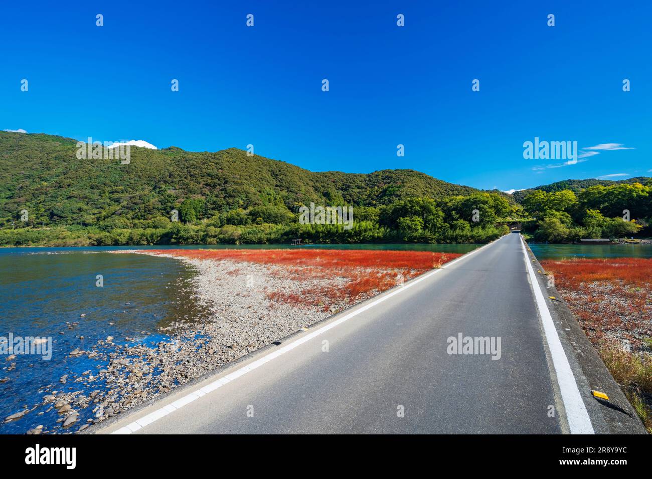 Shimanto River und Sada Chinkabashi Bridge im Herbst Stockfoto
