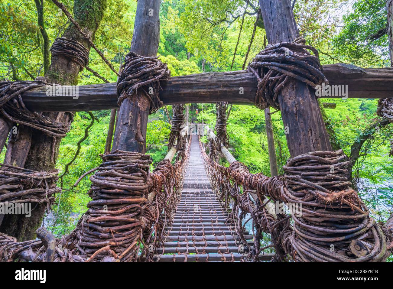 Kazurabashi-Brücke von Iya Stockfoto