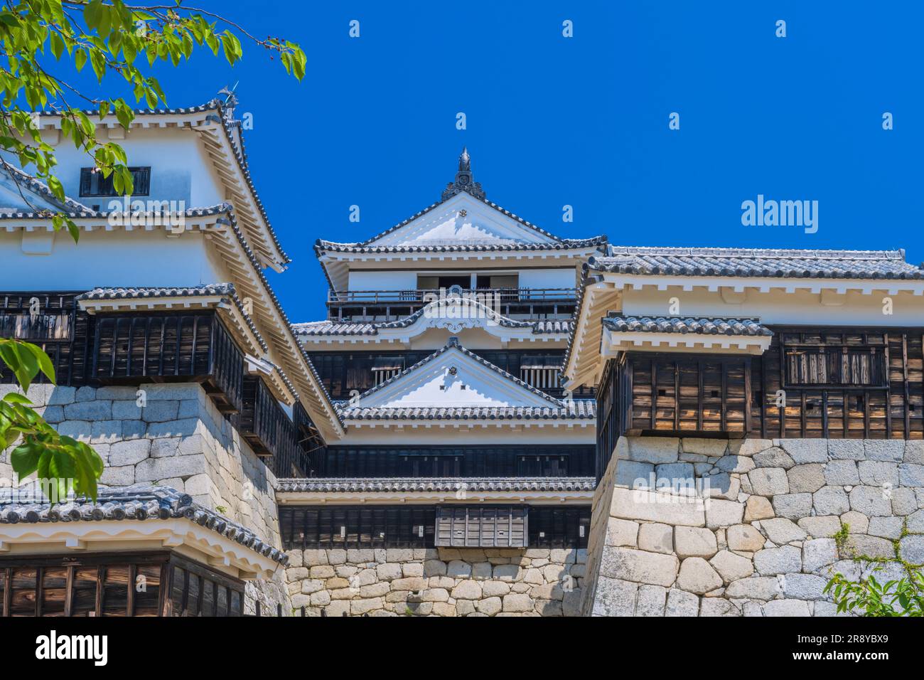 Matsuyama Schloss Stockfoto