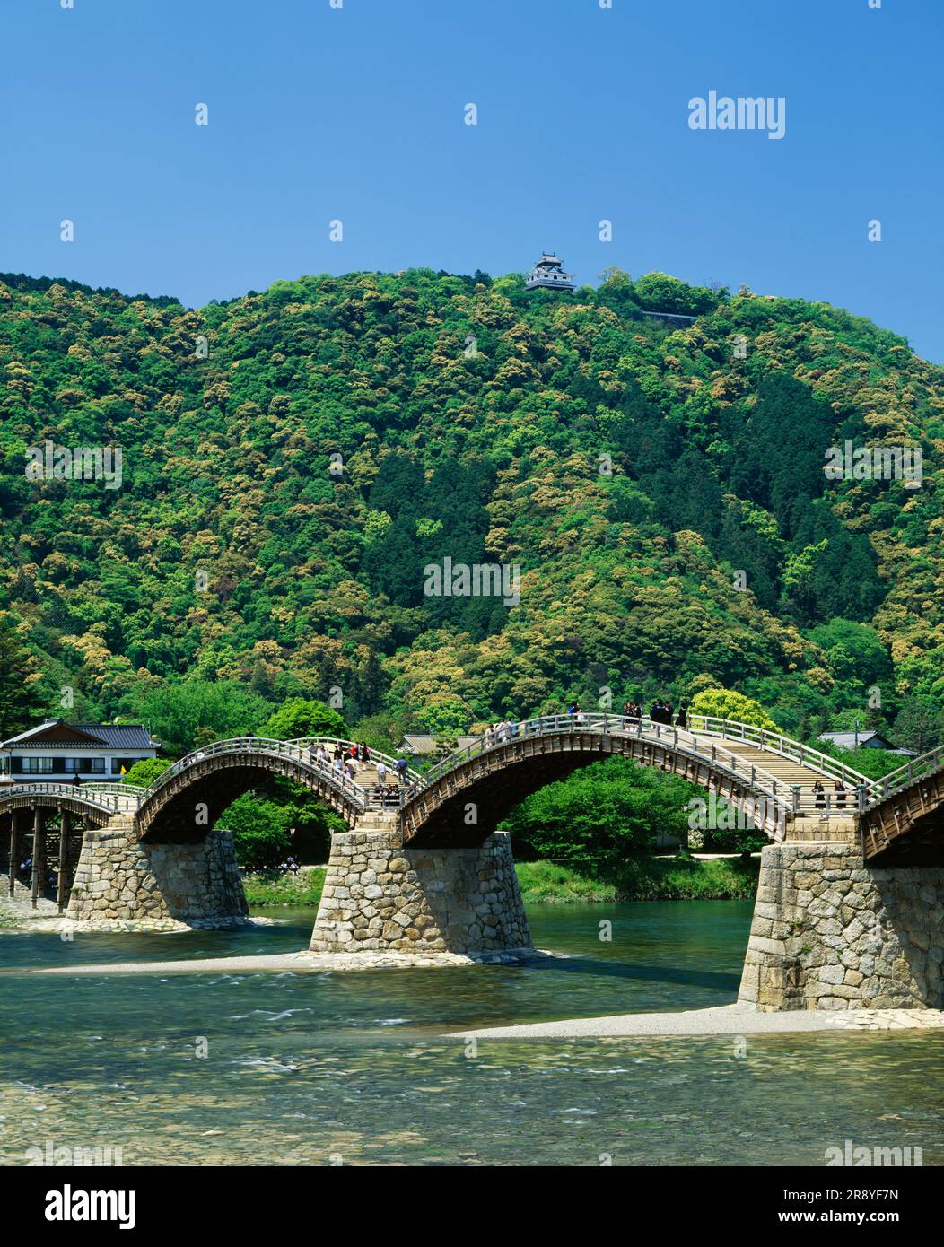 Kintai-Brücke und Schloss Iwakuni Stockfoto