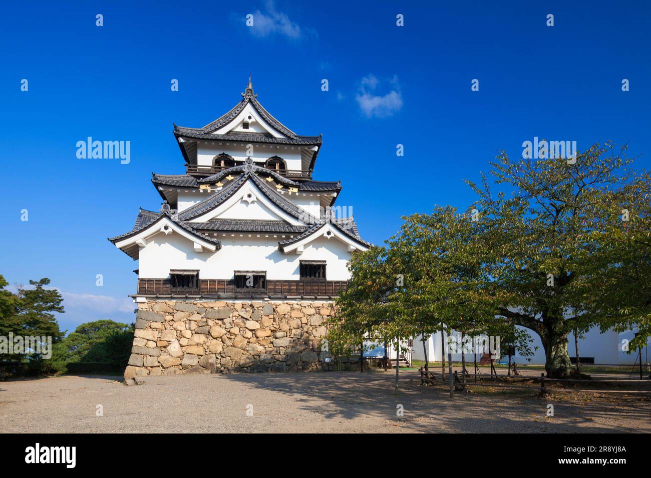 Schloss Hikone Tenshukaku (Burgturm) Stockfoto
