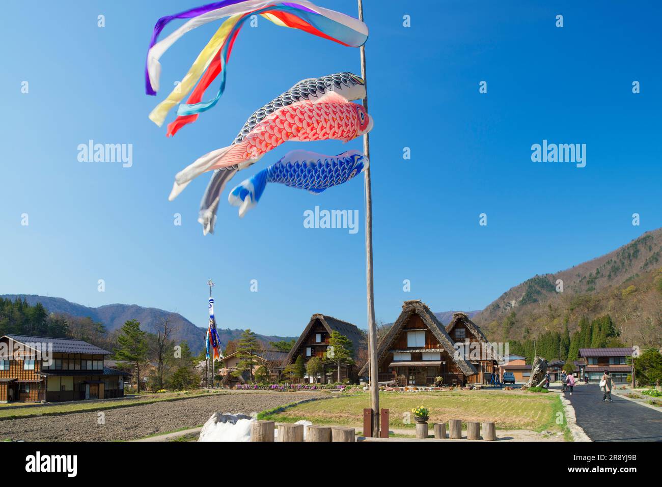 Karpfenschlangen und Shirakawa-go Ogimachi Gassho-Zukuri Village Stockfoto