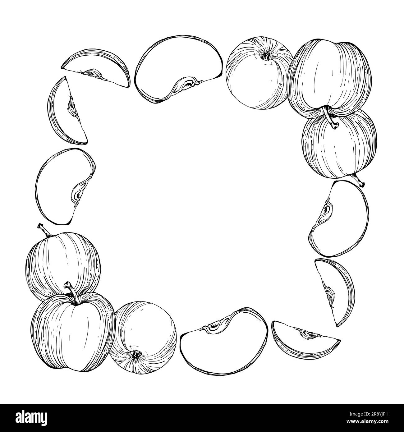 Handgezeichnete Apfelfrüchte mit Tinte, reif und in Scheiben, Schwarzweißvektor, detaillierter Umriss quadratische Rahmenzusammensetzung. Isoliertes Objekt auf weißem Hintergrund Stock Vektor
