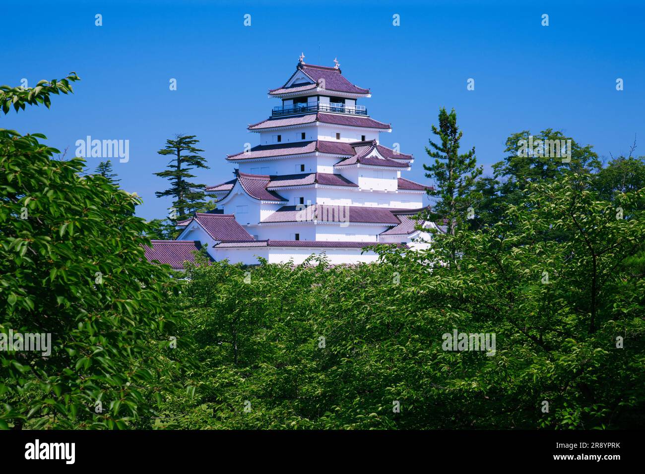 Schloss Wakamatsu Stockfoto