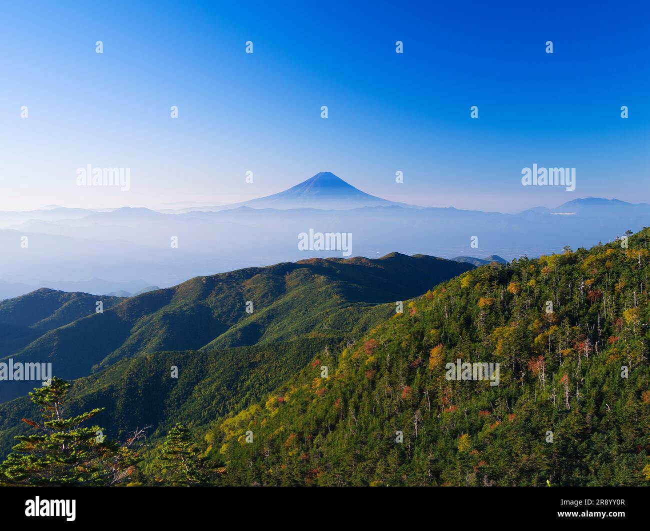 Herbstfarben und Berg Fuji vom Berg Kokushigatake in den Okuchichibu-Bergen Stockfoto