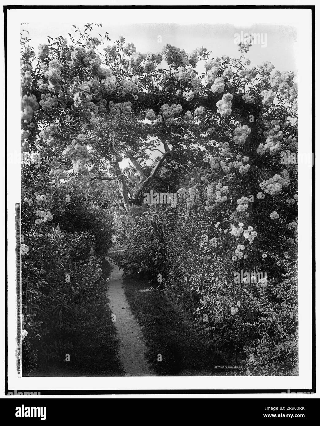 Altmodische Gärten, Lawson Estate, Dreamwold, Egypt, Mass., Zwischen 1900 und 1920. Stockfoto