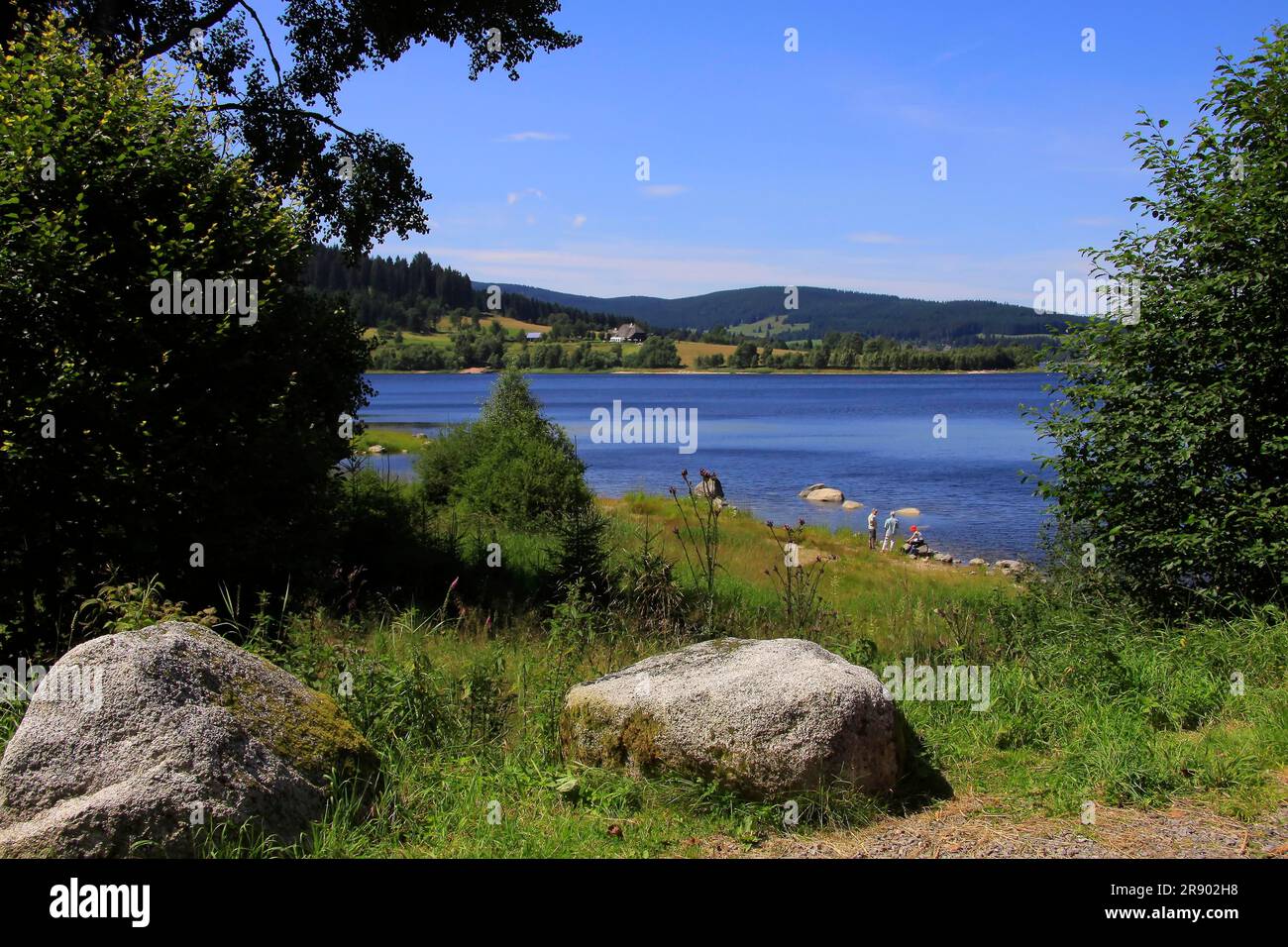 Der Schluchsee im Schwarzwald, Reservoir, Baden-Württemberg, Deutschland Stockfoto