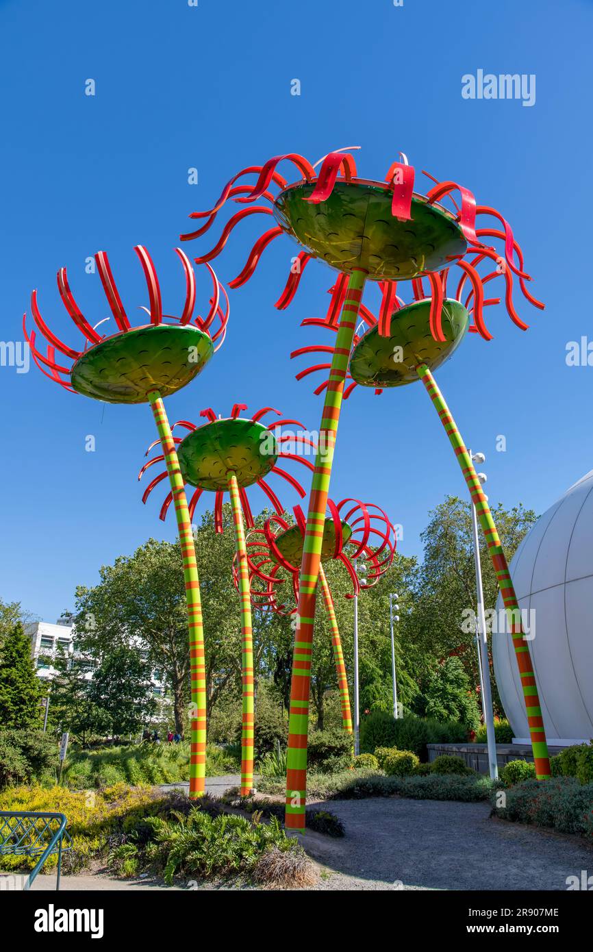 Seattle, WA, USA – Juli 2022; Low Angle View of Skulpture Sonic Bloom; ein Kunstwerk aus Stahl und Glasfaserblumen von Dan Corson am Eingang des Pacif Stockfoto