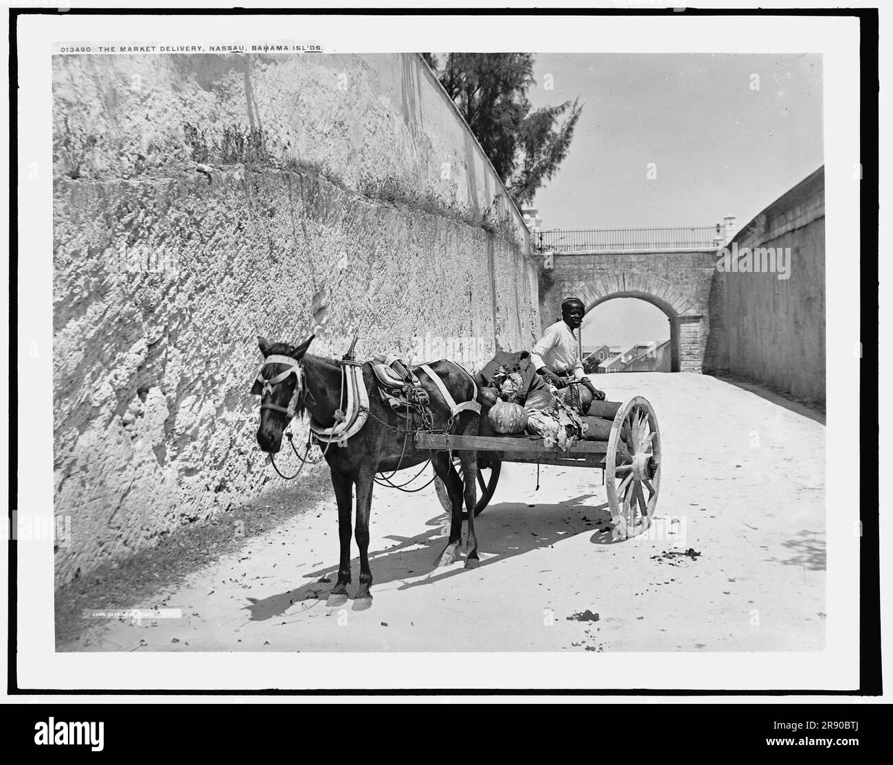 Die Marktlieferung, Nassau, Bahama-Inseln, c1901. Stockfoto