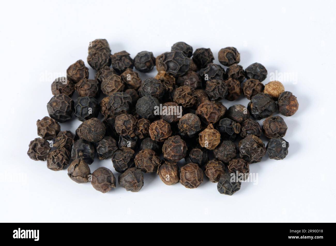 Malabarpfeffer (Piper nigrum), Pfefferkörner, Pfefferkörner Stockfoto