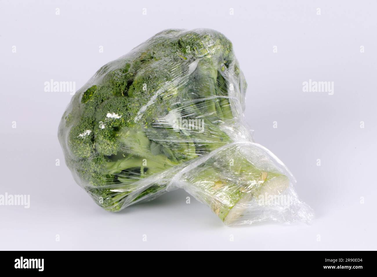 Broccoli (Brassica oleracea var. italica) in Plastikfolie, Folie, Plastikfolie Stockfoto