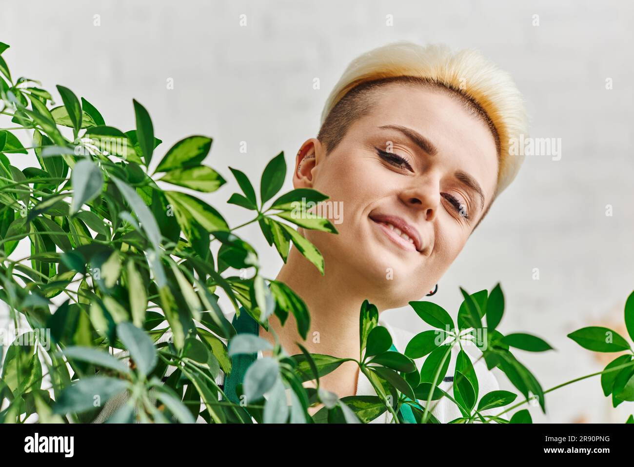 Pflanzenliebhaber, Porträt einer glücklichen jungen Frau mit strahlendem Lächeln und trendigen Haaren, die in der Nähe einer grünen Pflanze im Wohnzimmer auf die Kamera schauen, nachhaltiges Zuhause Stockfoto