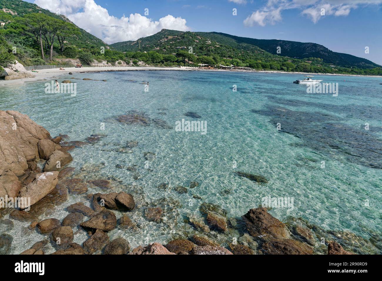 Plage de Palombaggia, Strand, Strand, Porto Vecchio, Corse-du-Sud, Korsika, Frankreich, Europa Stockfoto