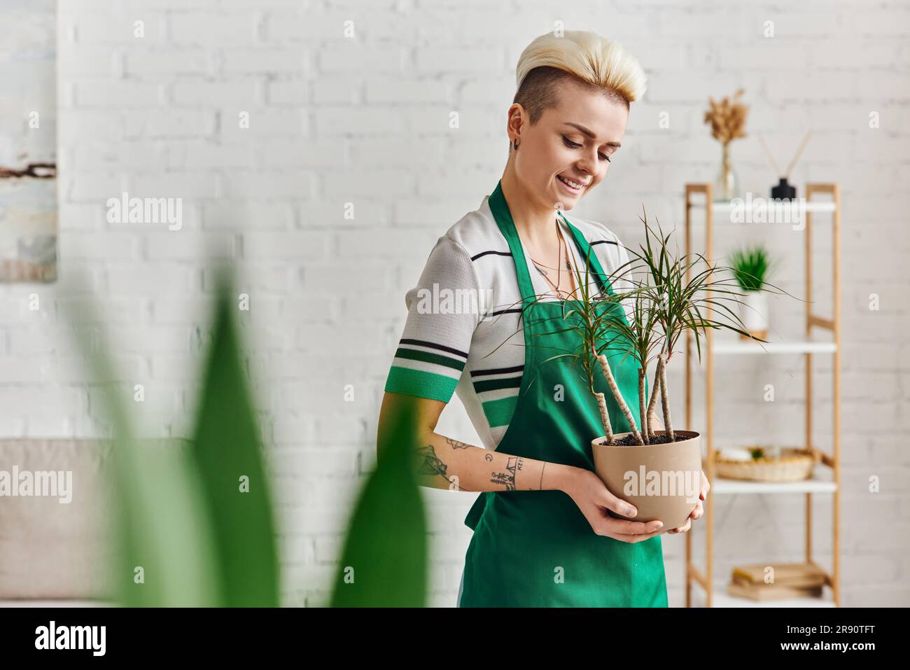 Umweltfreundliche Gewohnheiten, junge und fröhliche tätowierte Frau in grüner Schürze, die eine exotische Topfpflanze auf verschwommenem Vordergrund in einer modernen Wohnung hält, Stockfoto