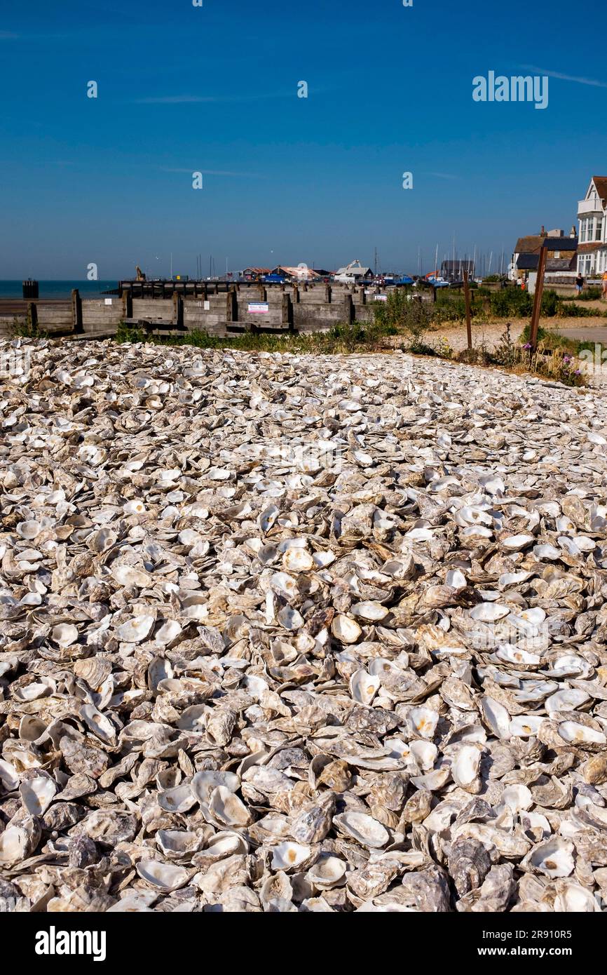 Whitstable North Kent, England, Vereinigtes Königreich - an der Küste entsorgte Austernschalen Stockfoto