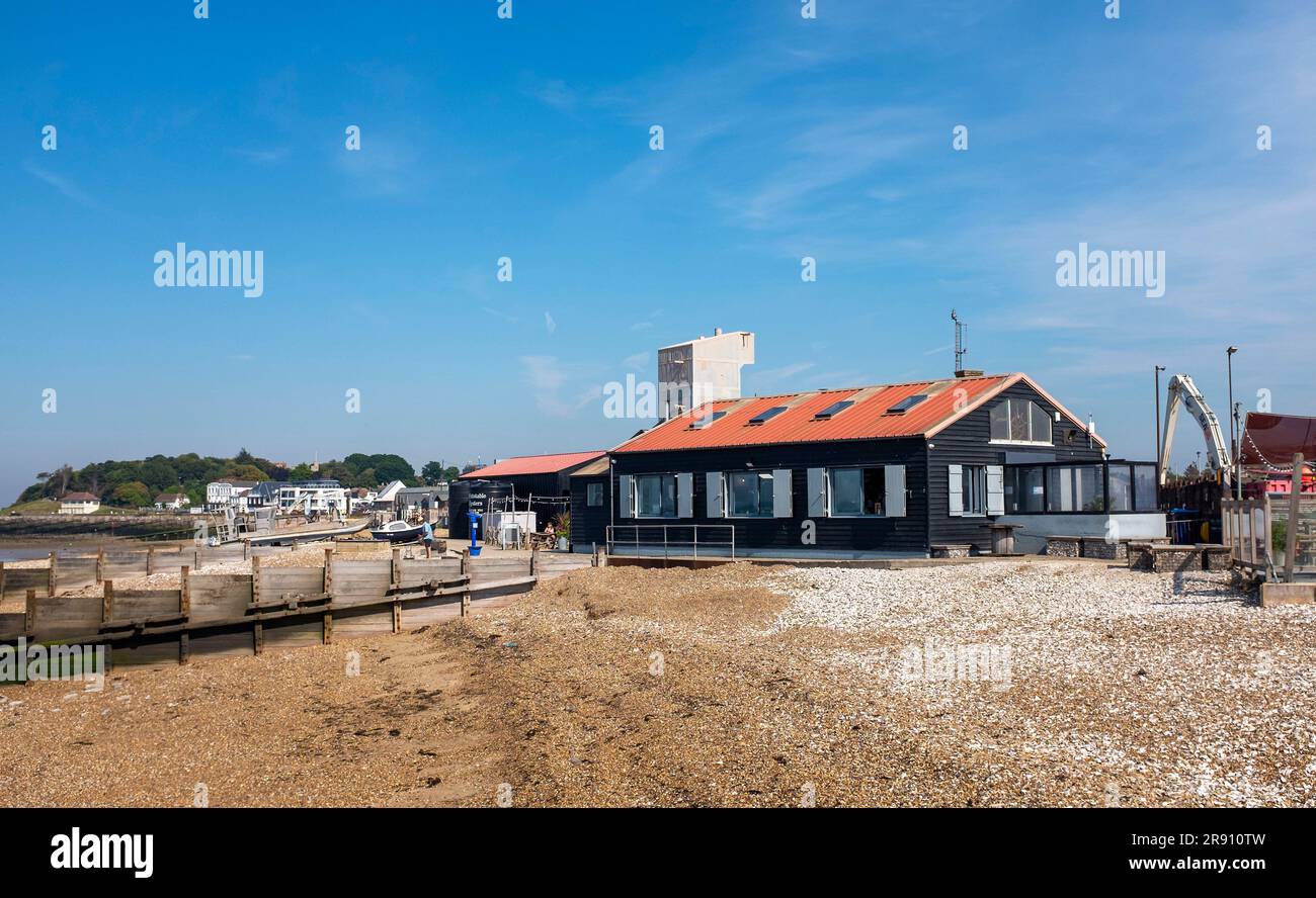 Whitstable North Kent, England, Vereinigtes Königreich - an der Küste entsorgte Austernschalen Stockfoto