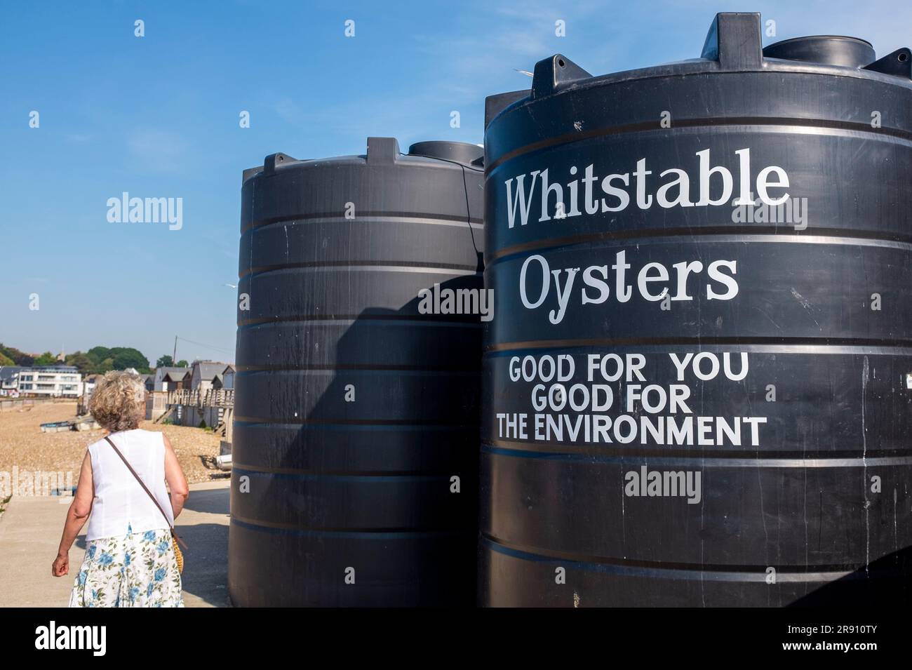 Whitstable North Kent, England, Vereinigtes Königreich - an der Küste entsorgte Austernschalen Stockfoto