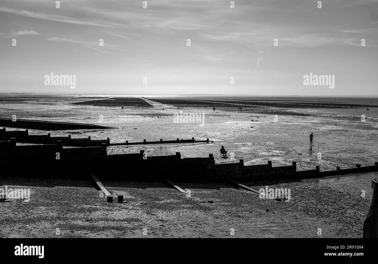 Whitstable North Kent, England, Großbritannien - die berühmten Austernbeete bei Ebbe direkt am Strand Stockfoto