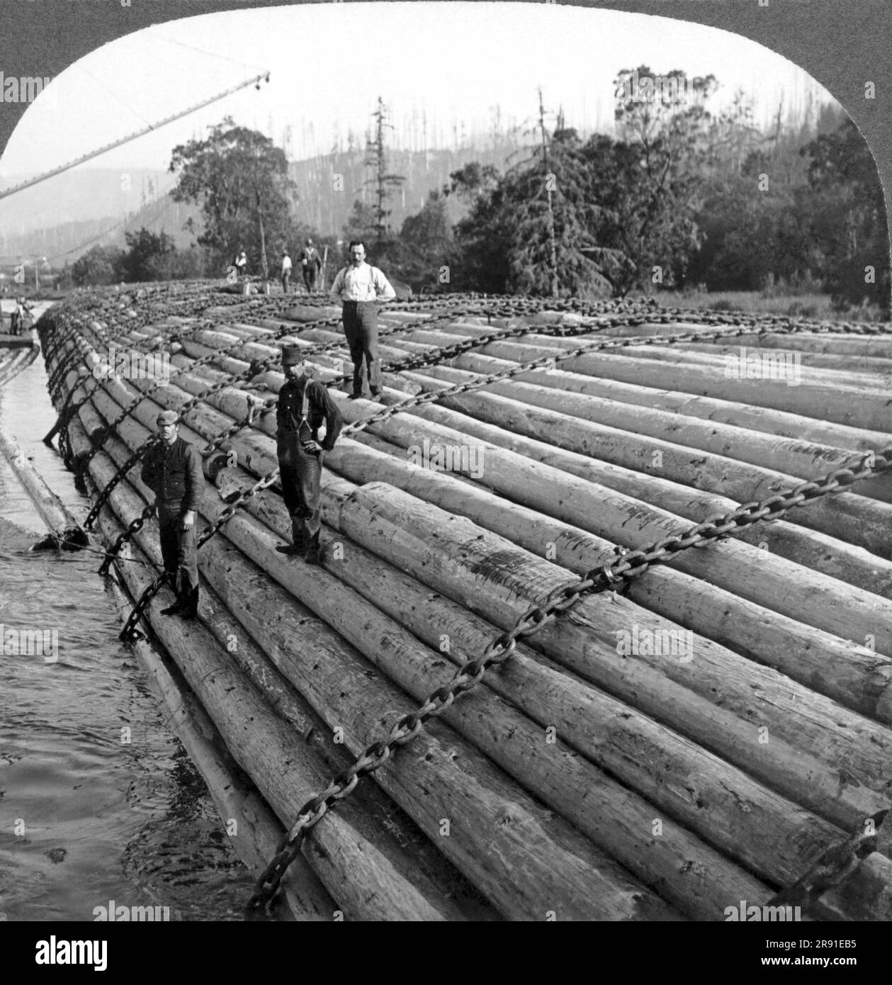 Oregon: ca. 1905 Ein riesiges Floß Holz, das den Columbia River hinuntergeschleudert und dann von dort die Küste entlang nach San Francisco geschleppt wurde. Dieses Floß ist doppelt so groß wie das sichtbare. Stockfoto