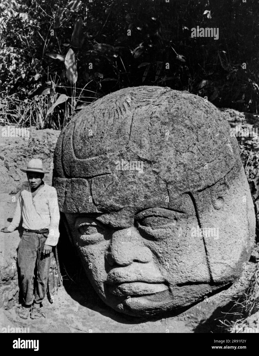 La Venta, Mexiko: März 1940 dieser Steinkopf und vier weitere ähnliche Skulpturen wurden auf einer gemeinsamen archäologischen Expedition der National Geographic Society und der Smithsonian Institution im Staat Tabasco gefunden. Stockfoto