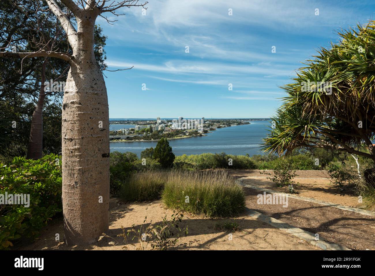 Blick auf die Stadt Perth vom Kings Park Botanical Gardens Stockfoto