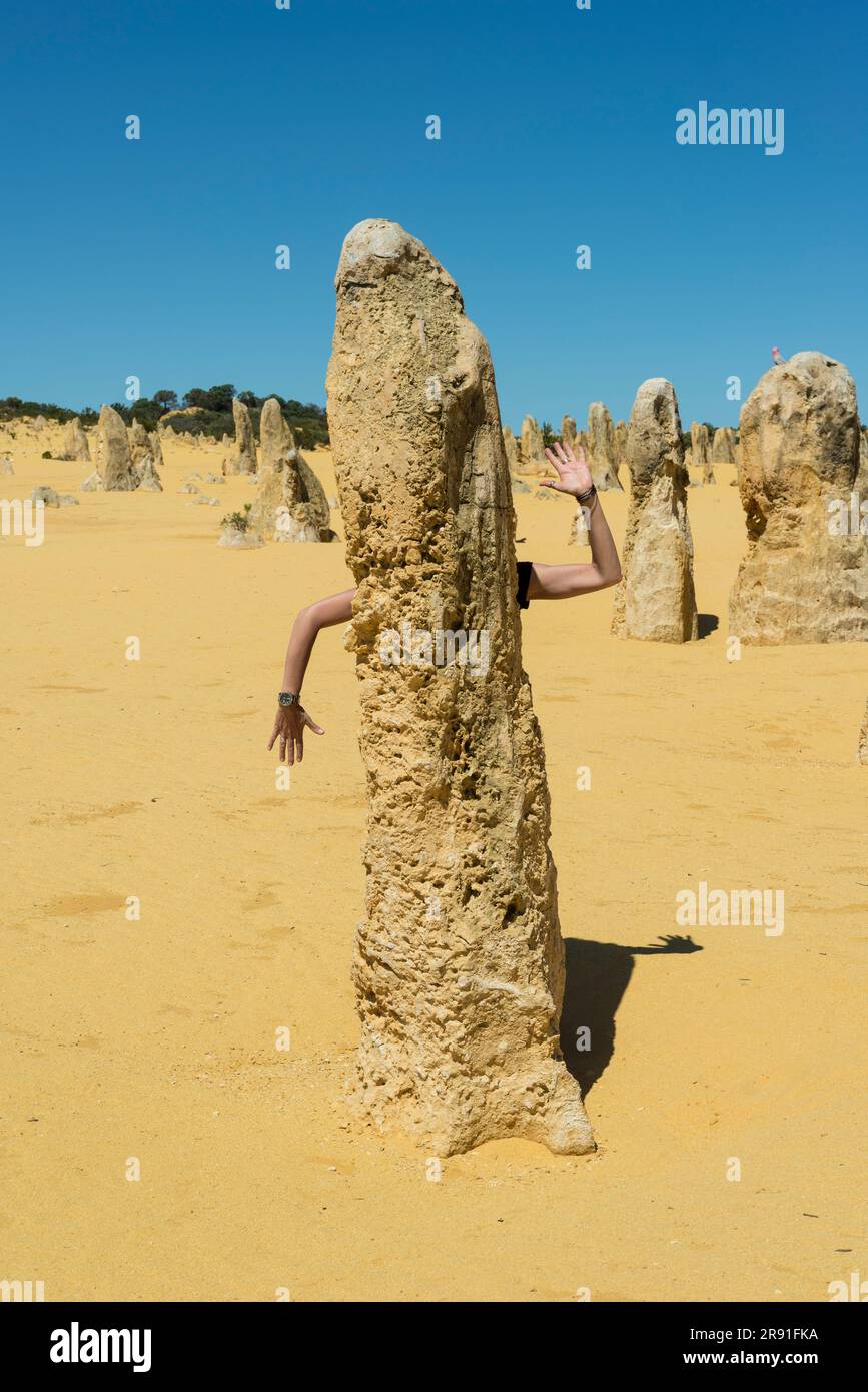 Die unglaublichen Felsformationen des Pinnacles-Nationalparks in Westaustralien Stockfoto