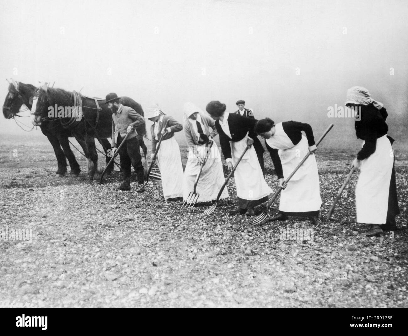 Sparsholt, England: 26. April 1915 Englische Gören, die den Agrarhandel erlernen, um die Bauern zu ersetzen, die in den Krieg gezogen sind. Hier sehen sie, wie sie der Egge folgen. Stockfoto