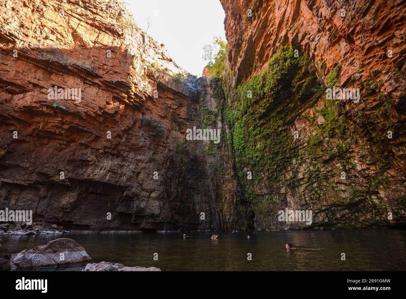 Touristen können im frischen Wasser der Emma Gorge in Westaustralien schwimmen Stockfoto