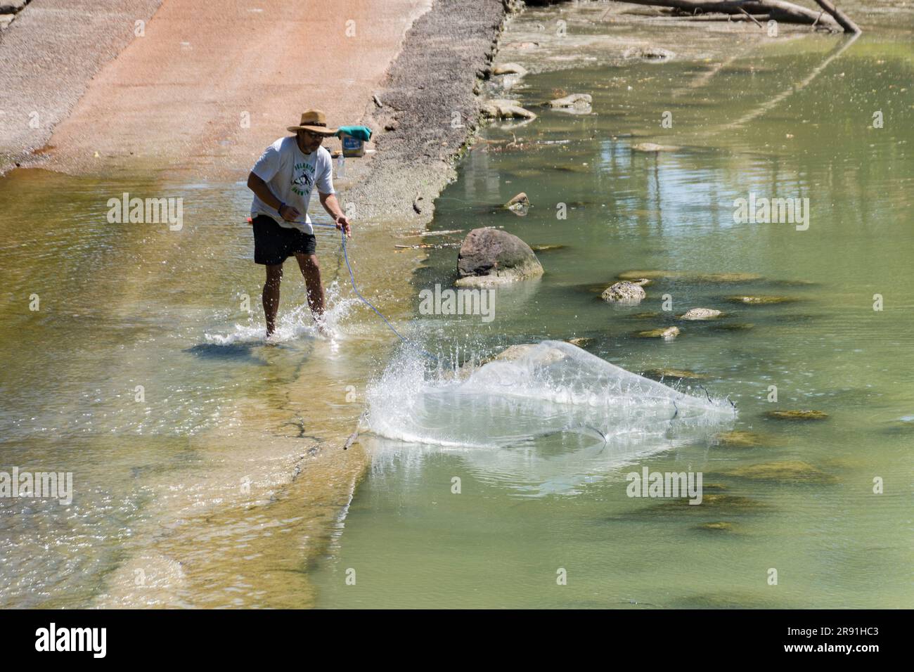 Ein Mann wirft ein Fischernetz in den South Alligator River auf Cahils, die das Northern Territory in Australien überqueren Stockfoto