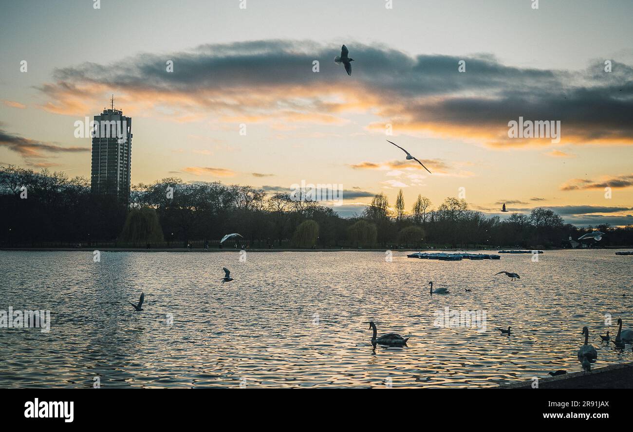 Eine Vogelschar, die über dem ruhigen Wasser eines majestätischen Sees schweben Stockfoto