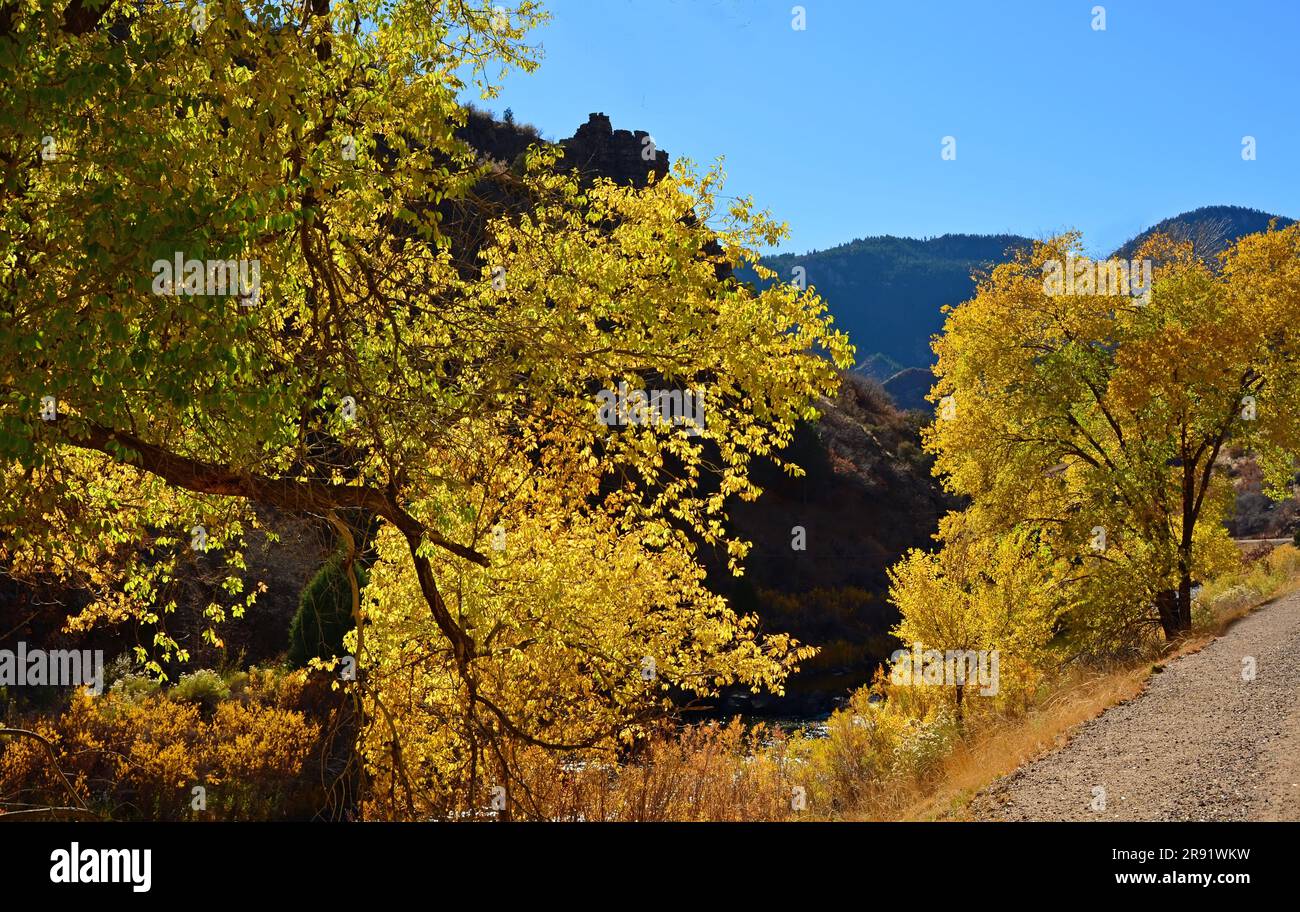 Farbenfrohe Pappholzbäume im Herbst mit Bergkulisse am südlichen platte River im waterton Canyon in littleton, colorado Stockfoto