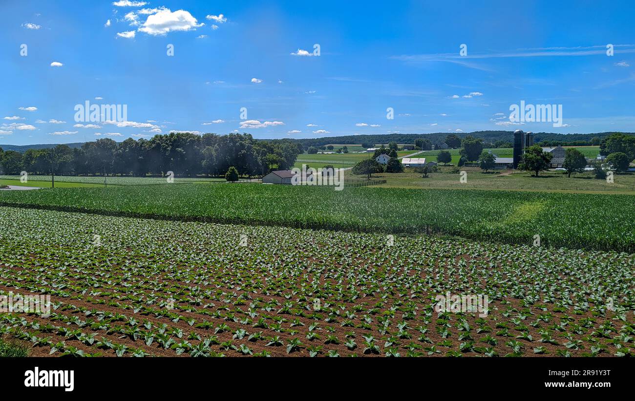 Ein Blick auf ein Einzimmer-Schulhaus inmitten frisch gepflanzter Bauernfelder an einem wunderschönen Sommertag Stockfoto