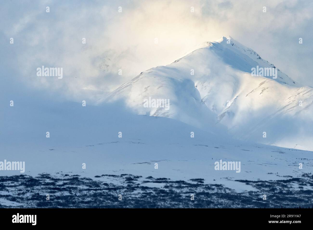 Schnee, Winterberge, Broad Pass, Alaska Stockfoto