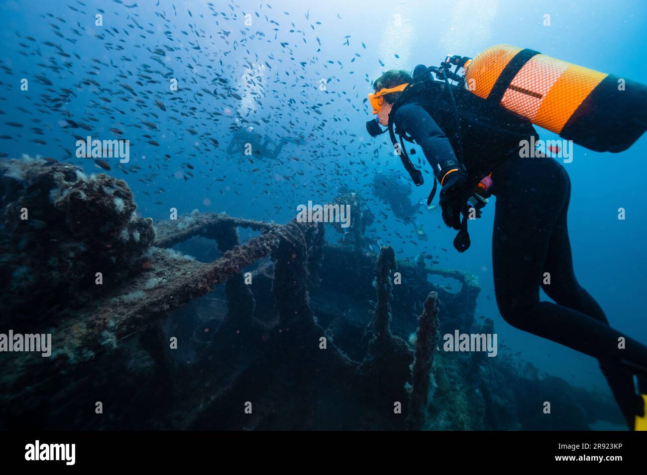 Männer und Frauen tauchen und untersuchen das versunkene Schiff El Naranjito unter Wasser Stockfoto