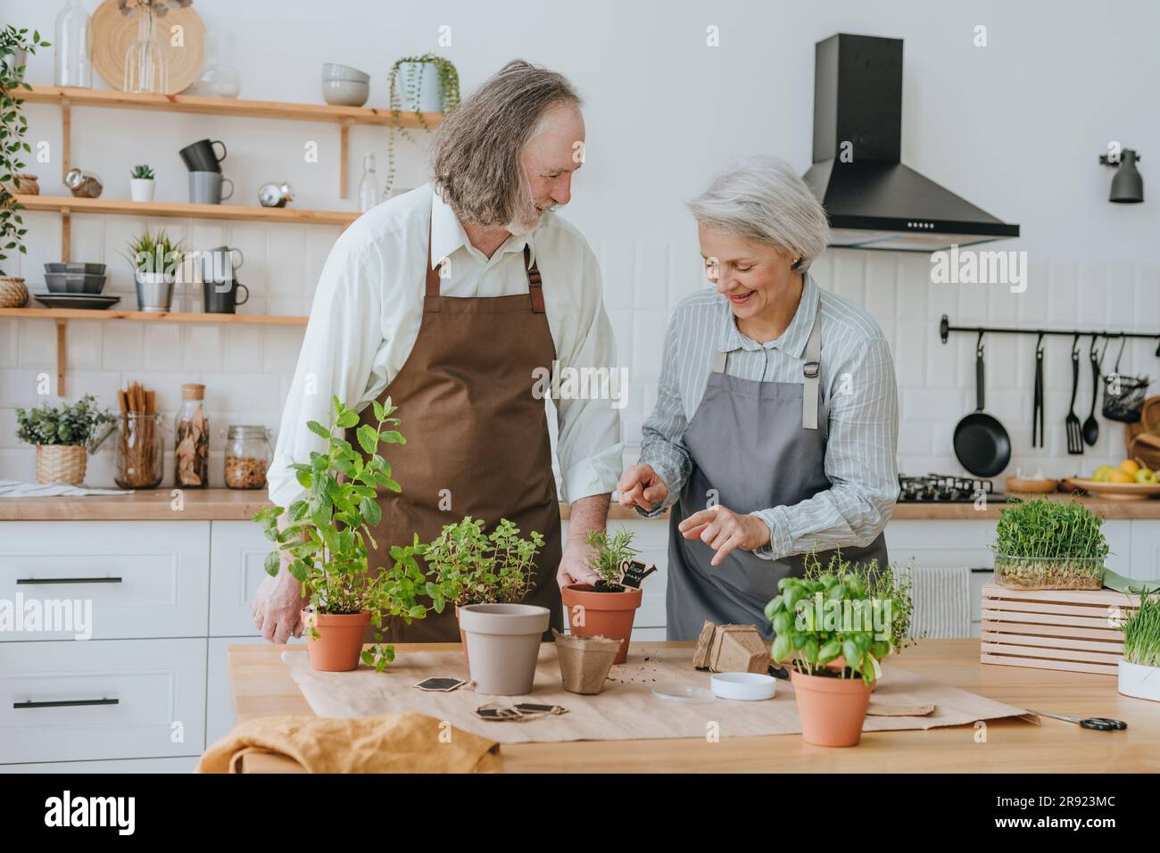 Eine lächelnde Frau, die einem Mann hilft, der Kräuter in der Küche zu Hause pflanzt Stockfoto
