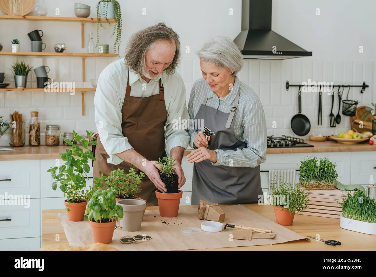 Eine Frau und ein Mann, die zu Hause in der Küche Kräuter Pflanzen Stockfoto