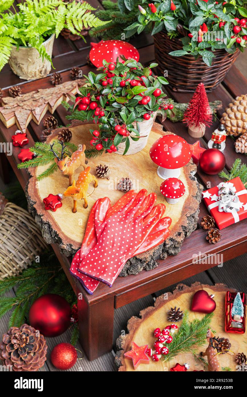 Winterpflanzen, Kiefernzapfen, Weihnachtsdekorationen, hölzerne Untersetzer, Gartenhandschuhe und Hirschfigur auf dem Tisch Stockfoto