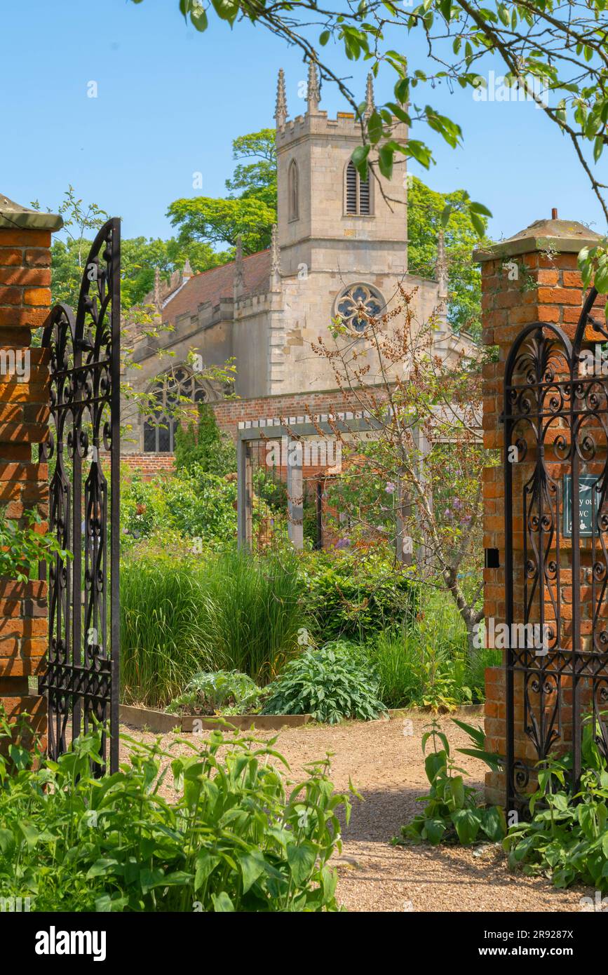 Doddington Hall Lincolnshire, Anbau von süßen Erbsen, Duft, viktorianischen Garten, Spalier, Wigwam geformt, Stangen zusammengebunden, Bindung mit String klettern. Stockfoto