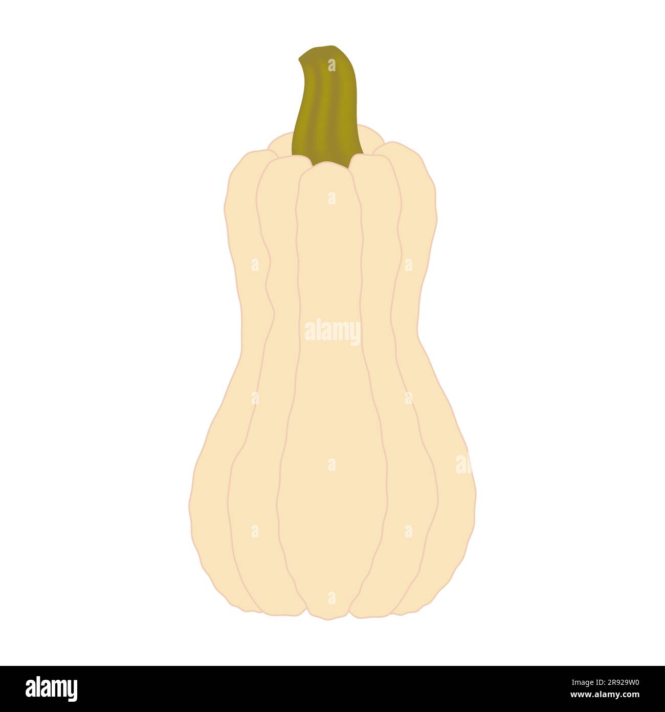 Kürbis Design Element Gourd Illustration für Halloween und Thanksgiving Day Farm Produkt Vector Illustration isoliert auf weißem Hintergrund Stock Vektor