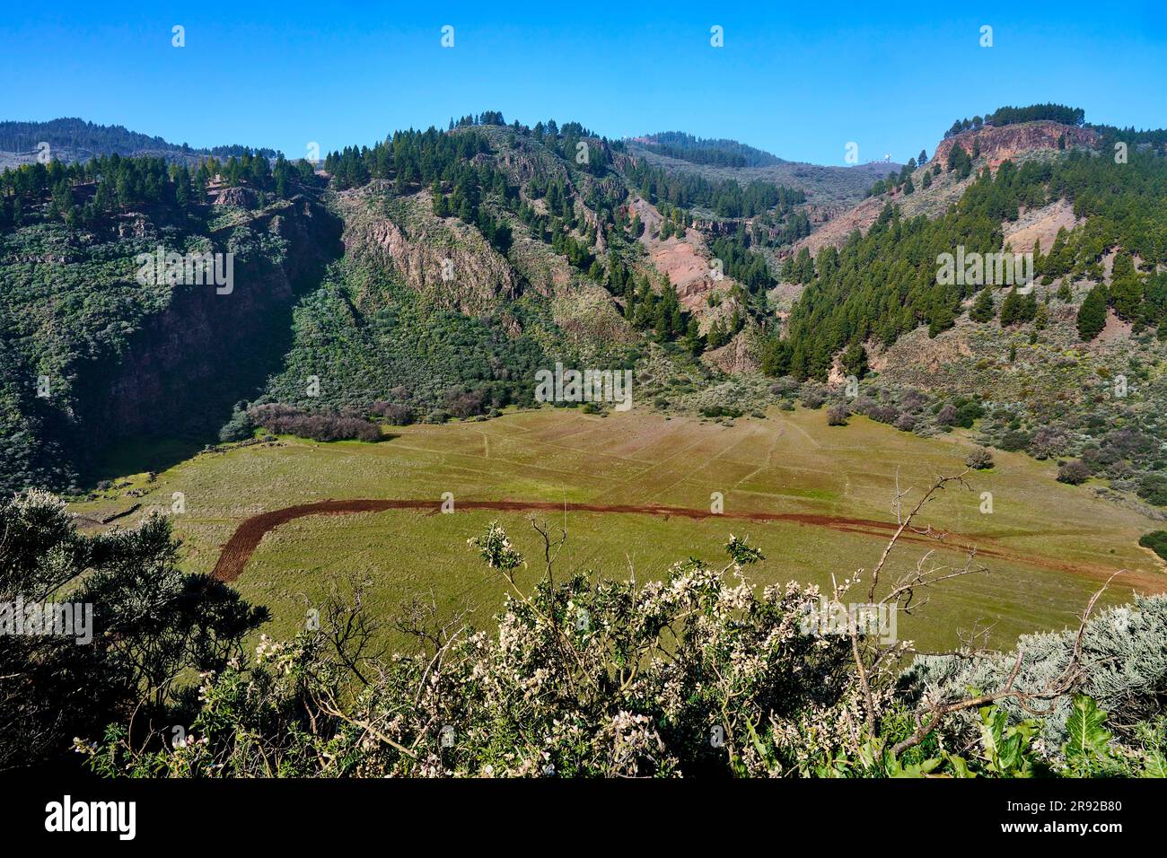 Caldera de los Marteles, der kollabierte Krater wird heute für die Landwirtschaft, die Kanarischen Inseln, Gran Canaria, Caldera de los Marteles verwendet Stockfoto