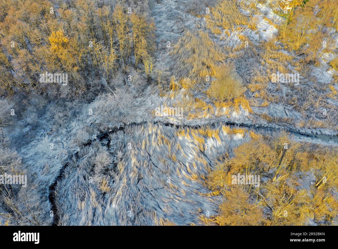 Hammer Moor im Winter, Luftaufnahme, Deutschland, Schleswig-Holstein, Herzogtum Lauenburg, Panten Stockfoto