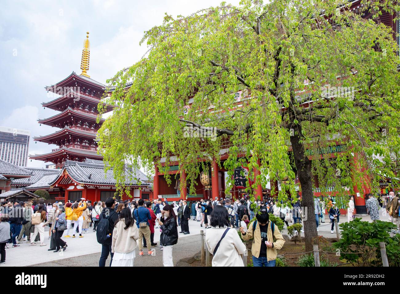 Tokio Senso ji Tempel, Tokio ältester Tempel und Pagode, Japan, April 2023, Besucher des buddhistischen Tempels Stockfoto