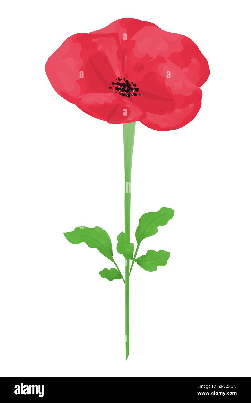 Mohnblume Aquarell Design Element Vektor Illustration für Remembrance Day, Anzac Day isoliert auf weißem Hintergrund Stock Vektor