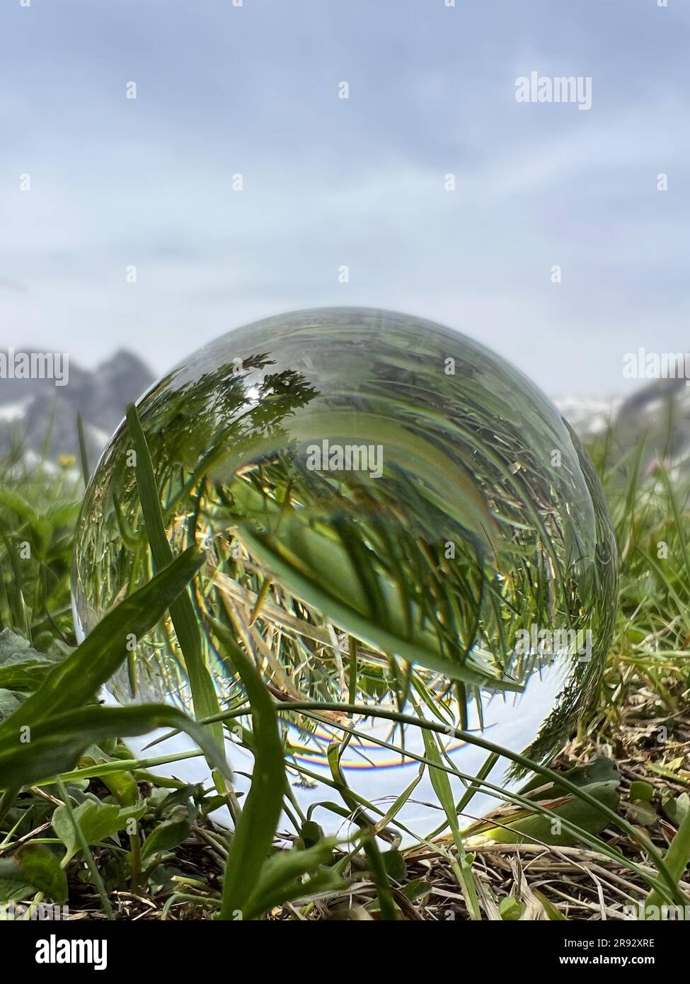 Lensball mit Grasreflexionen in den österreichischen Alpen. Stockfoto