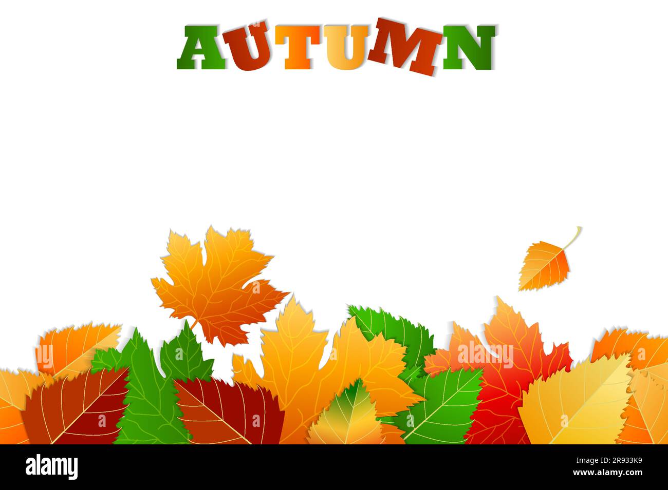 Banner auf weißem Hintergrund mit Platzierung für Text, Kopierbereich. Bunte Blätter. Konzept Herbst, Herbststimmung. Designelemente für den Herbst. Ahornblätter Stock Vektor